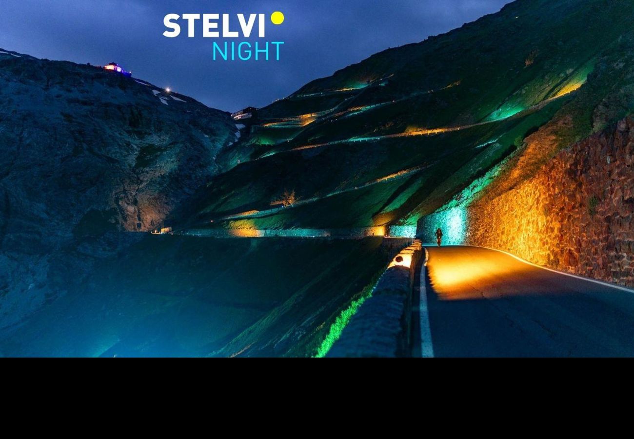 logo-stelvio